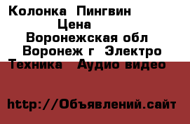 Колонка «Пингвин» TY-019 › Цена ­ 845 - Воронежская обл., Воронеж г. Электро-Техника » Аудио-видео   